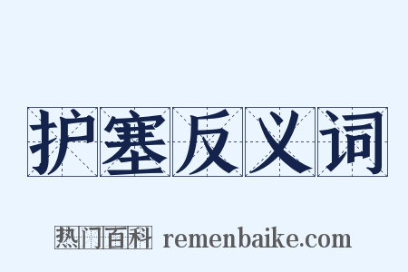 护塞反义词是什么意思的图片